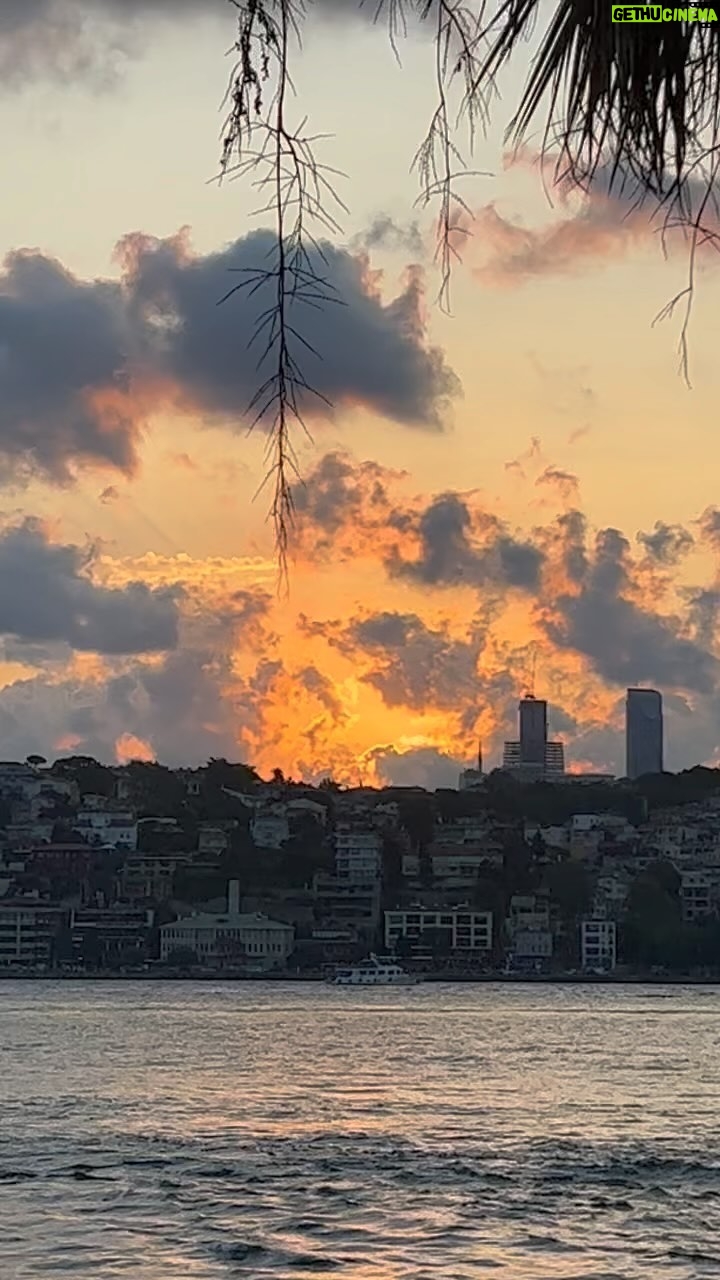 Gülşen Bubikoğlu - 2K Likes -