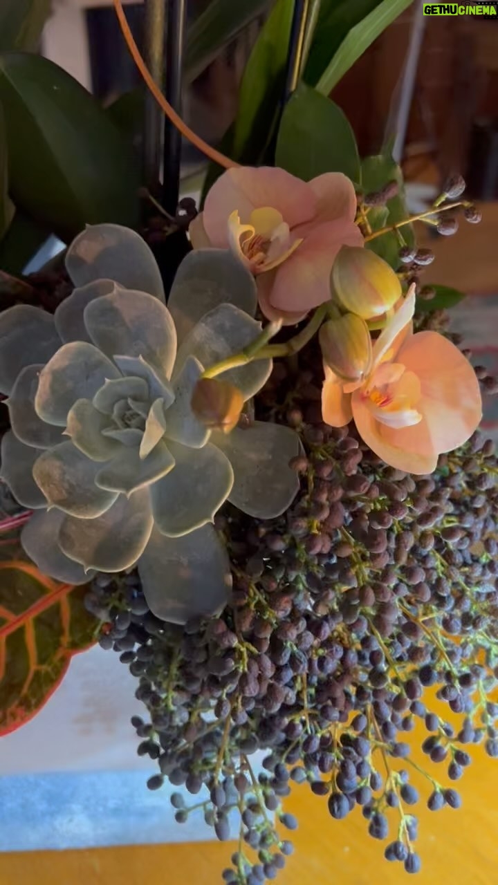 Gülşen Bubikoğlu - 4.1K Likes - Bugün doğum günümdü ,hiç kutlama düşünmüyordum , çok sevdiğim bir arkadaşım pasta yollamış 😍bende üfleyiverdim … teşekkürler canım 💝