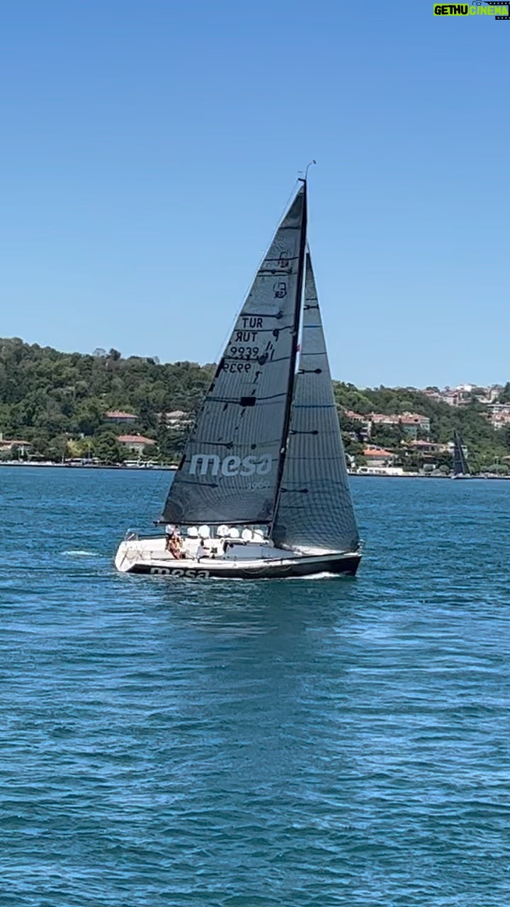 Gülşen Bubikoğlu - 1.8K Likes - ⛵️⛵️