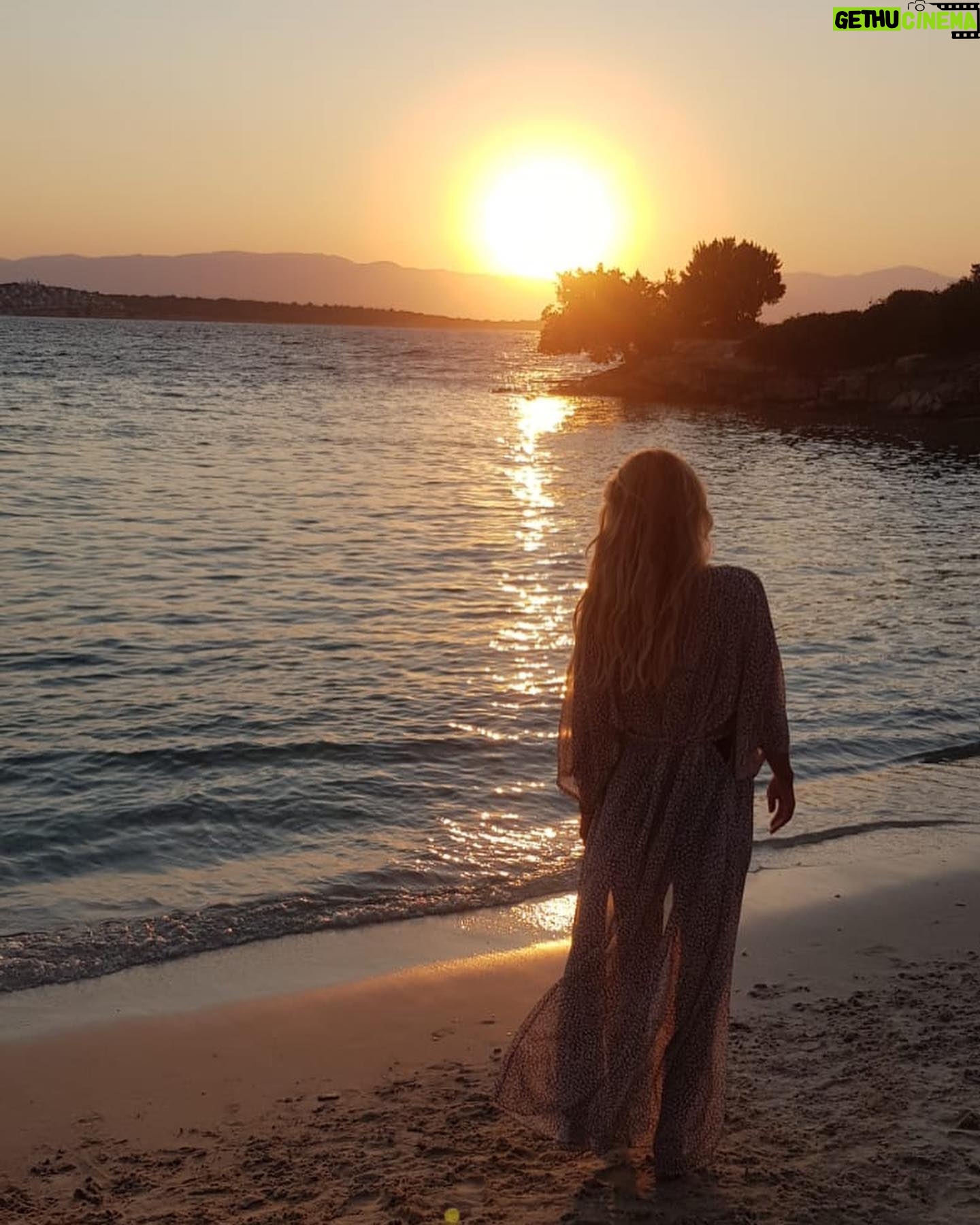 Gül Gölge - 4.4K Likes - 🪸