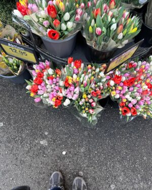 Gül Gölge Instagram - 📌