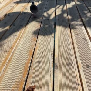 Gül Gölge Instagram - 🌾