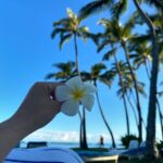 Gabee Instagram - Hawaii
