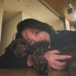 Gabee Instagram - AKA 착한강아지 포니🐴🫶 강아지를 입양하는것에 있어서 정말 많은 고민끝에 드디어 결심하였습니다🙌🏻 1월에 서울 동물복지 지원센터를 통해서 포니를 입양하게 되었는데요, 아직은 엄마(me) 밖에 모르는 엄마(me)껌딱지 포니랍니다🤭 처음 만났을때 마르고 조랑말 같아서 포니라고 이름짓게 되었어요. 입양스토리는 제 유튜브 ‘가비걸’에 브이로그로 올려놨어용✌️ 라치카 신년운세 콘텐츠도 같이 편집했으니까 재미있게 봐주세요☺️ 꺄! 해피 뉴이어 새해복 많이 받으시와요🧧 Gabeegal & #poneeboi