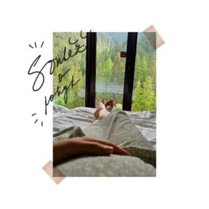 Gabriela Lašková Instagram - • SOUTĚŽ - UKONČENA! ☀️ Ohlédnutí za našim prodlouženým víkendem na Slovensku v překrásném Wellness Hotelu Chopok****. Byli jsme tu podruhé a určitě né naposledy. Hotel se nachází uprostřed přírody v úzké blízkosti hor, nabízí skvélé služby pro rodiny s dětmi - od dětských stolečků v restauraci, přes animační program po lego hernu nebo dětské hřiště, dále wellness pro rodiny s dětmi nebo jen pro dospělé, masáže, bowling, billiard a fitness centrum. Co chválím do nebes, je gastronomie - od snídaní po večeře to byl jeden velký zážitek, a servis.

👉🏻 A teď k soutěži, VYHRÁT můžete pobyt pre 2 osoby na 2 noci se snídaní a neomezeným vstupem do dvou batenů a saunových světů. Přistýlky pro děti možné doplatit. 

Podmínky soutěže: sledovat @wellness_hotel_chopok
a do komentář napsat, na co byste se při pobytu nejvíce těšili! V pátek vylosuji výherce 🤞🏻

* Využít můžete i slevu 10% s kódem LETO24LS na pobytové balíčky a to až do 28. června!

#wellnesshotelchopok #soutez #slovensko #wellnesshotel #doporuceni #recenze