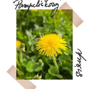 Gabriela Lašková Instagram - • Pampeliškový sirup miluju a co bydlíme vedle louky, dělám ho každé jaro 🌼 (Takže potřetí 😄) Dávám méně cukru, máme ho hlavně na pití - limonádu, ale krásně osladí i čaj.

* Co vezmu včeličkam, vysadím na zahradě, nebojte 🐝

#pampeliškovýsirup #pampeliskovysirup #recept #tip #elixirjara