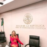 Gabriela Carrillo Instagram - Muy feliz y agradecida con el Senado de la Republica por este reconocimiento a mi trayectoria y la de mis compañeros actores, en especial al senador @ramirezlalo_ y @farukmtake por tomar en cuenta el esfuerzo a nuestra noble carrera.