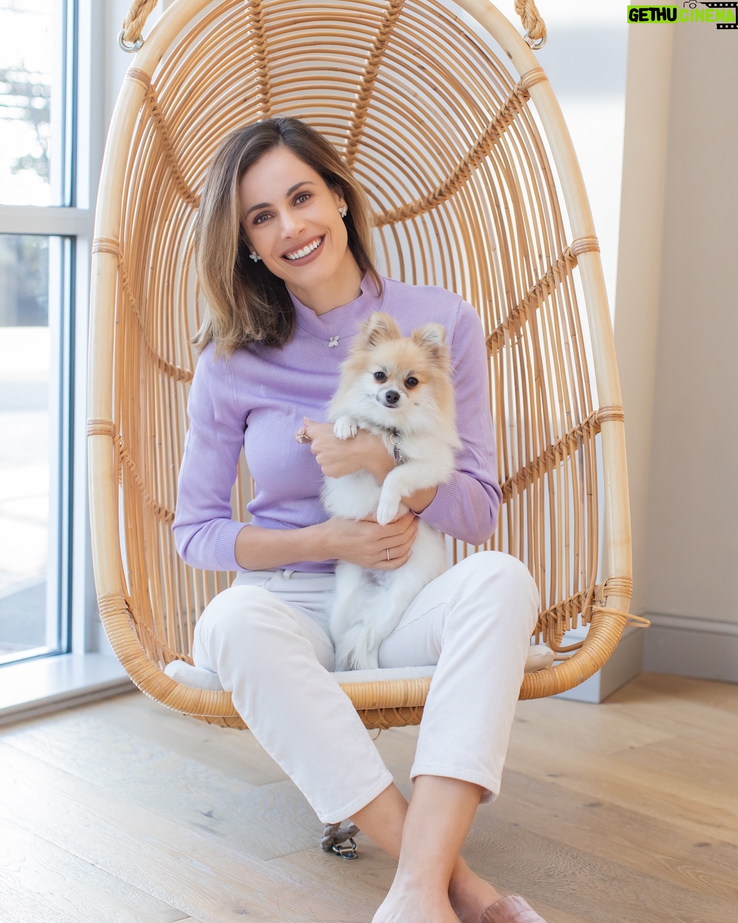 Gabriela Dias Instagram - Queria apresentar a vocês a clínica em Belo Horizonte que nos ajudou a trazer a Bella para os Estados Unidos! Existe uma burocracia enorme para trazer filhotes do Brasil para os Estados Unidos. A @vetprofisrael é a primeira clínica em Belo Horizonte, a trabalhar com o processo de preparação de cães para viagens para Europa e Estados Unidos. Eu comprei a Bella literalmente na estrada de São Paulo para Belo Horizonte quando ela tinha 2 meses e sem a ajuda do Dr. Luiz e Poliana não conseguiria ter trago Bella tão rápido para nossa casa nos Estados Unidos. • Deixando aqui o contato direto da clínica em caso vocês também queiram viajar com seu melhor amigo de estimação 🤍• Poliana ➡️ @polimachado15 • Dr. Luiz ➡️ @luizfernandolucasferreira Clínica ➡️ @vetprofisrael