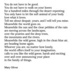 Gabriella Wilde Instagram - Always a comfort #maryoliver