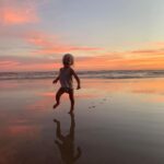 Gabriella Wilde Instagram - Skye in the sky #nofilter