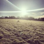 Gabriella Wilde Instagram – Morning walk 💙 #somerset