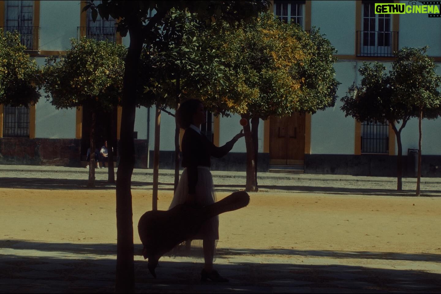 Gaby Moreno Instagram - “Dance The Night Away” video out now!! 🍊🧡🍊 File this under things that happen when you have a couple of days off during Latin Grammy week in Sevilla! My first time there so I couldn’t pass up the opportunity to film something in that magical city. Beautifully directed by @joseph_ros Production co. @smartfactoryworld Producer: @mdelarr Cinematography: @edu_saenz93 @calamardojo Editor: Joseph Ros Colorist: Edu Sáenz Featuring @samuelsevillaswing 👞
