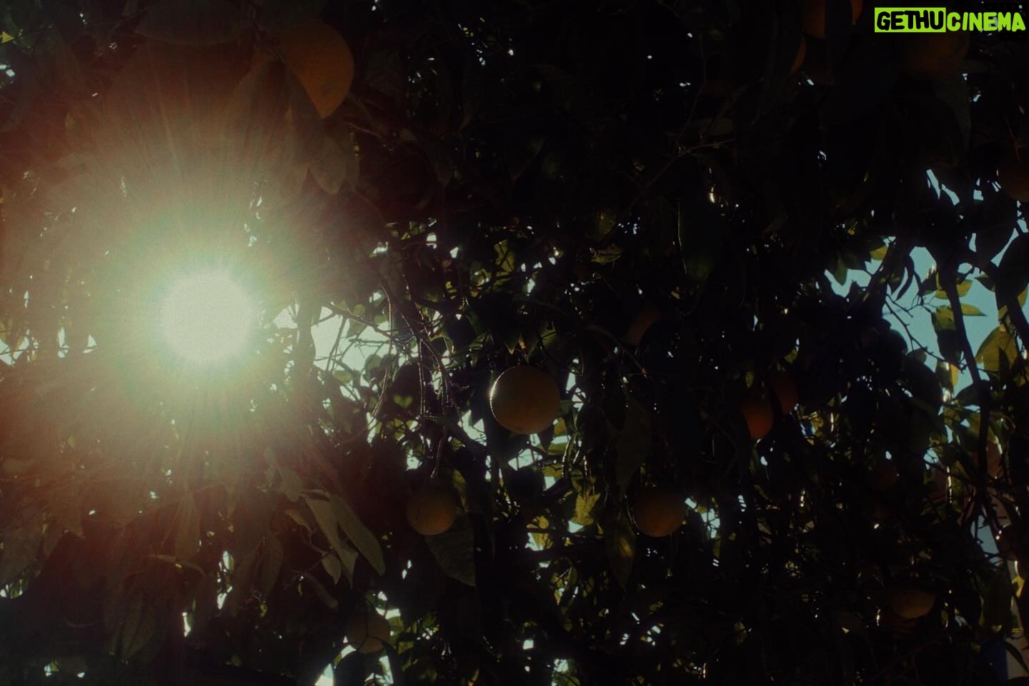 Gaby Moreno Instagram - “Dance The Night Away” video out now!! 🍊🧡🍊 File this under things that happen when you have a couple of days off during Latin Grammy week in Sevilla! My first time there so I couldn’t pass up the opportunity to film something in that magical city. Beautifully directed by @joseph_ros Production co. @smartfactoryworld Producer: @mdelarr Cinematography: @edu_saenz93 @calamardojo Editor: Joseph Ros Colorist: Edu Sáenz Featuring @samuelsevillaswing 👞