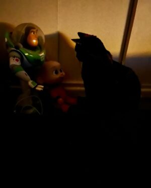 Gail Porter Instagram - Not exactly sure what my cat is doing at 1.01am in the Toy Story and Incredibles corner. Not freaked out at all!!!! 😱