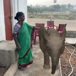 Gangavva Instagram - 🐘
