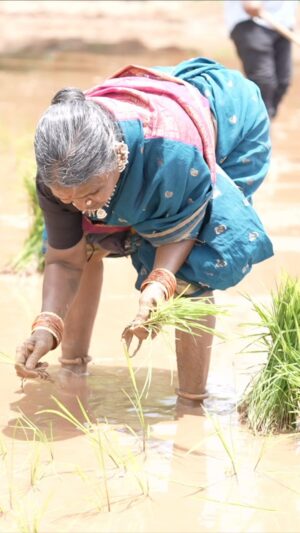 Gangavva Instagram - అశ్విన్ తో రొయ్యల ధమ్ బిర్యానీ .. ఫుల్ వీడియో మన  కల్లవల్లి ఛానెల్ లో చూడుర్రి #hidimba #myvillageshow
@chandhoooo