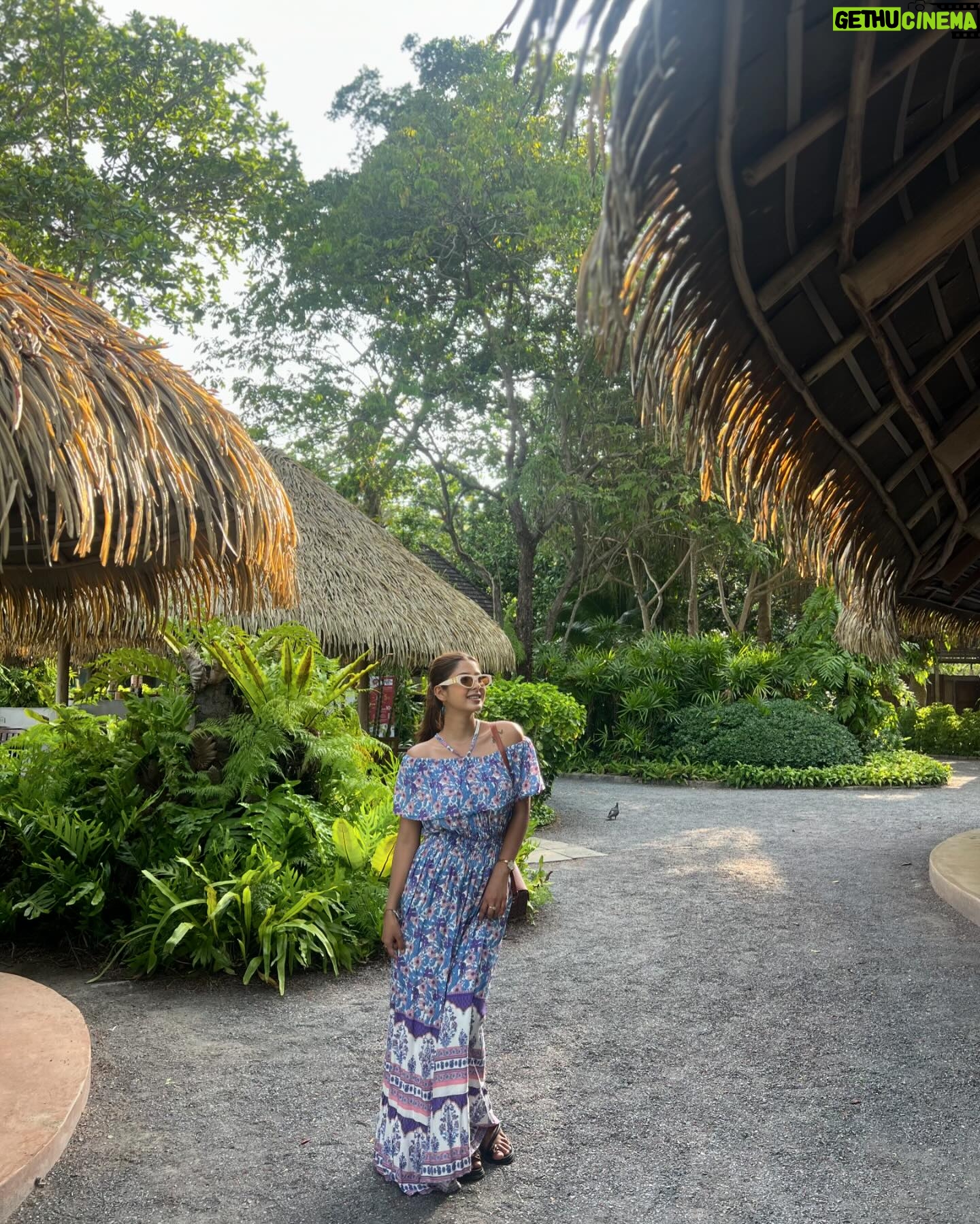 Garima Sharma Instagram - Where every shade of green tells a story 🍃 #travelgram #happydays #justme #instagood #instagram #throwback #thailandtrip