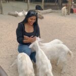 Gayathri Reddy Instagram – Goat babies. They ate my hair, chewed on my clothes and tried to eat my watch as well. It was fun.
