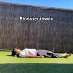 Gayathri Reddy Instagram – 🙂