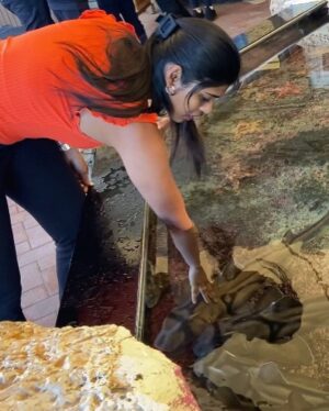 Gayathri Reddy Instagram - A lot of firsts this year.
My first birthday being away from my mom, brother and my bunny. My first with my husband. My first in a different country. My first without friends. My first without birthday blues. My hubby had all these surprises planned and made it so freakin memorable. He knew how much I love animals so we went to a zoo AND an aquarium. Basically I saw land animals, sea animals, birds, everything… ran around like a 4 year old the whole time. I mean… I couldn’t have asked for more. Thank u @nishanth.reddy.5851 . You are the best❤️
(Birthday vlog coming soon)
#birthdaydump