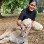 Gayathri Reddy Instagram – Never thought I’d touch a kangaroo🥲❤️❤️
