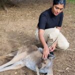 Gayathri Reddy Instagram – Never thought I’d touch a kangaroo🥲❤️❤️