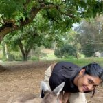 Gayathri Reddy Instagram – Never thought I’d touch a kangaroo🥲❤️❤️
