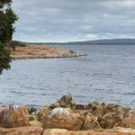Gayathri Reddy Instagram – Somewhere in Denmark WA🤍