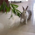 Gayathri Reddy Instagram – Bro. I gave birth.