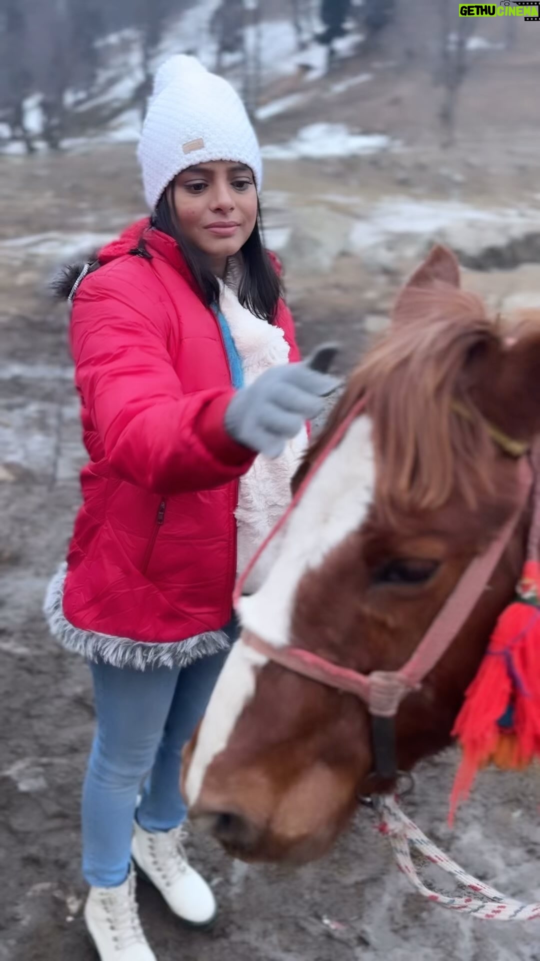 Geetashree Roy Instagram - To love without condition, to talk without intention, to give without reason, and to care without expectation …. It is UNCONDITIONAL…❤️❤️ #love #horselove #instapost #affection #unconditional love
