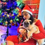 Geetashree Roy Instagram - Merry Christmas 🎅🏻✨🌲2023… #christmas #25thdecember #instapot #beautifultime #santaclaus #instagram #🌲