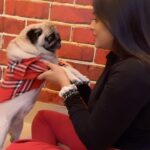 Geetashree Roy Instagram - Tujhe apna ribbon banalu main..❤️❤️ #love #petlovers #happiness #reelitfeelit #loveformypet❤️