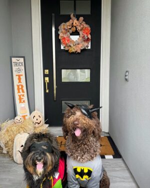 Geles Rodriguez Instagram - Happy Halloween 👻🧡🦇