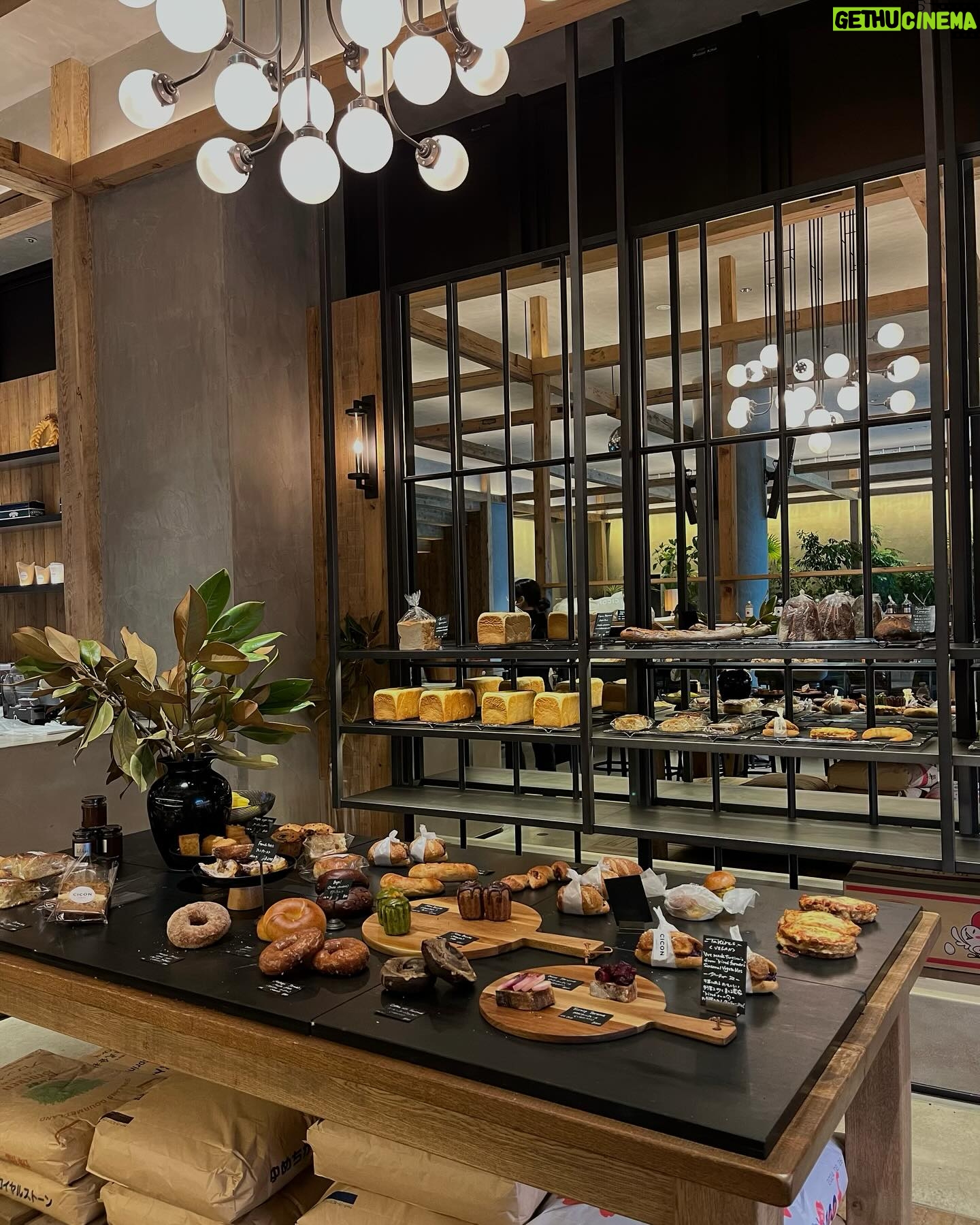 Gelsea Mae - 3 Likes - Embrace Kyotoโs rich culture at @nohgahotel.kiyomizu ๐ฟ Dive into traditions, art, and mindfulness while surrounded by upcycled creations from local artisans. ๐งโโ๏ธโจ#nohgahotelkyoto #cicon #nohgahotel #pr
-
#honeymoon #honeymoondestination #honeymoontime #honeymoontrip #japan #japanfood #japanlife #japanculture #japanphotography #tokyotravel #uenoexperience #uenoyama #osaka #japanawaits #japanfoods #cherryblossomseason #japancherryblossom #kyoto #sponsored #ad #japanhotel #kyotofood #kyotofoodie #kyototravel #kyotostyle #kyotojapan๐ฏ๐ต