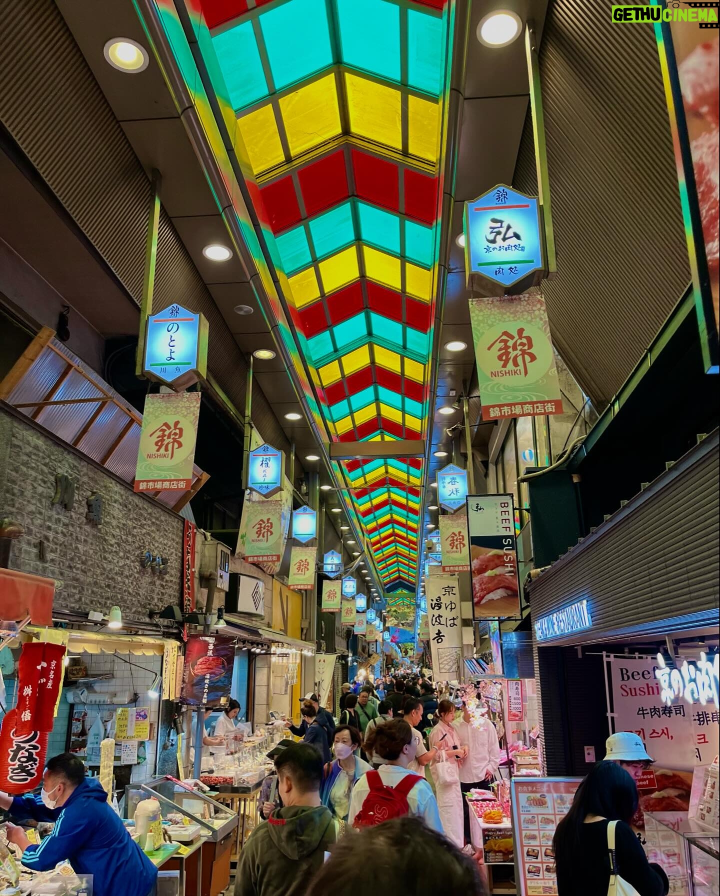 Gelsea Mae Instagram - Japan Honeymoon Pt 6 πΈπ£ππ€ππ―π΅ - - #honeymoon #honeymoondestination #honeymoontime #honeymoontrip #japan #tokyo #ueno #uenopark #uenoparktokyo #tokyotokyo #tokyojapan #tokyotower #tokyofood #tokyofoodie #japanfood #japanlife #japanculture #japanphotography #honeymooning #tokyotravel #uenoexperience #uenoyama #osaka #japanawaits #japanfoods #cherryblossomseason #japancherryblossom #japancherryblossoms #japancherryblossoms2024 #kyoto