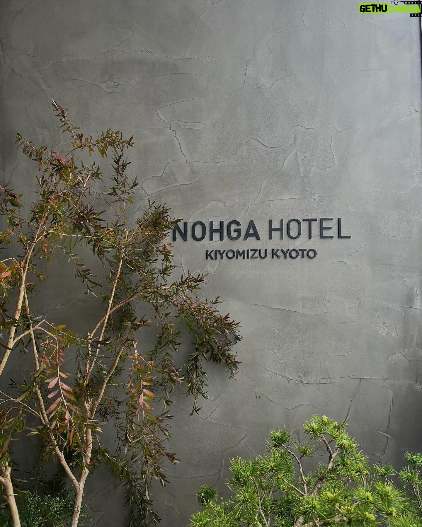 Gelsea Mae - 3 Likes - Embrace Kyotoโs rich culture at @nohgahotel.kiyomizu ๐ฟ Dive into traditions, art, and mindfulness while surrounded by upcycled creations from local artisans. ๐งโโ๏ธโจ#nohgahotelkyoto #cicon #nohgahotel #pr
-
#honeymoon #honeymoondestination #honeymoontime #honeymoontrip #japan #japanfood #japanlife #japanculture #japanphotography #tokyotravel #uenoexperience #uenoyama #osaka #japanawaits #japanfoods #cherryblossomseason #japancherryblossom #kyoto #sponsored #ad #japanhotel #kyotofood #kyotofoodie #kyototravel #kyotostyle #kyotojapan๐ฏ๐ต