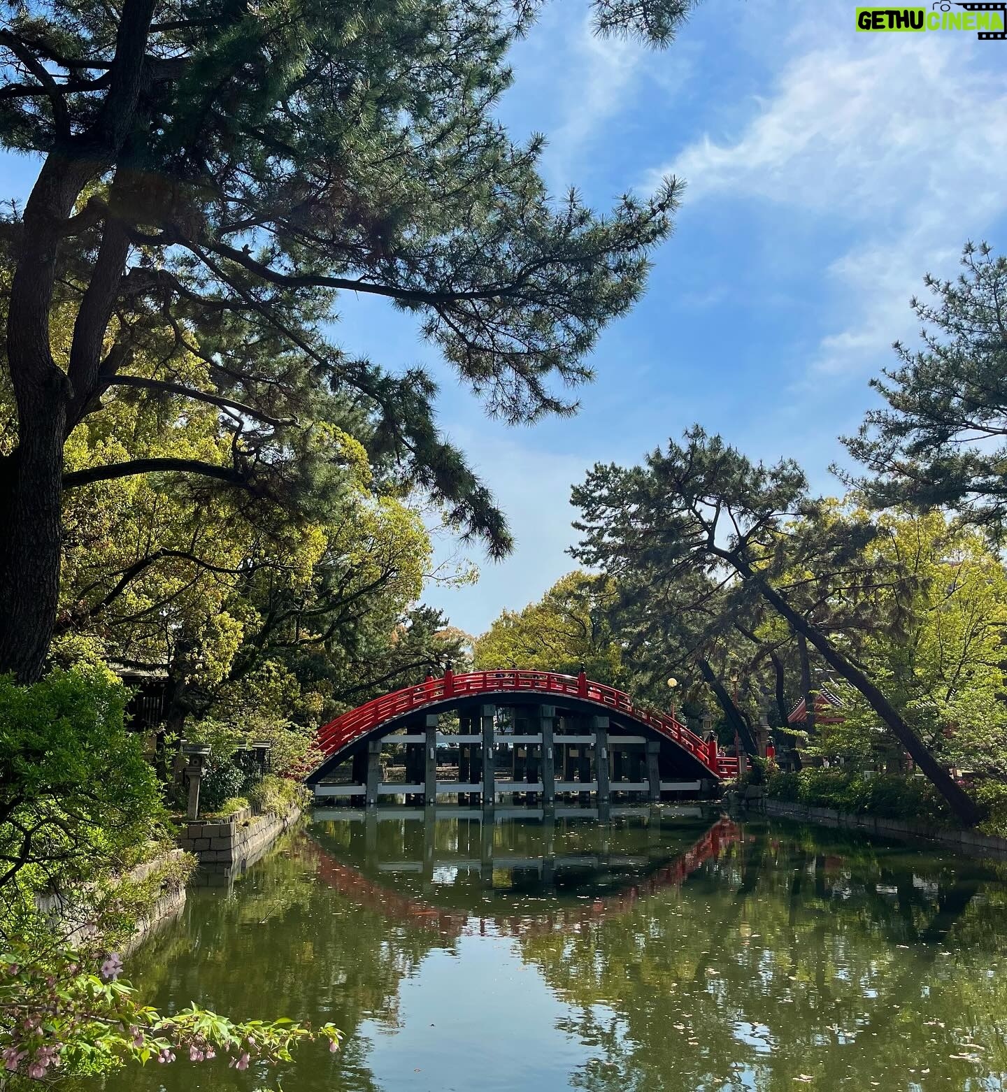 Gelsea Mae - 3 Likes - Japan Honeymoon Pt 1 ๐ธ๐ฃ๐๐ค๐๐ฏ๐ต
-
-
#honeymoon #honeymoondestination #honeymoontime #honeymoontrip #japan #tokyo #ueno #uenopark #uenoparktokyo #tokyotokyo #tokyojapan #tokyotower #tokyofood #tokyofoodie #japanfood #japanlife #japanculture #japanphotography #honeymooning #tokyotravel #uenoexperience #uenoyama #osaka #japanawaits #japanfoods #cherryblossomseason #japancherryblossom #japancherryblossoms #japancherryblossoms2024 #kyoto