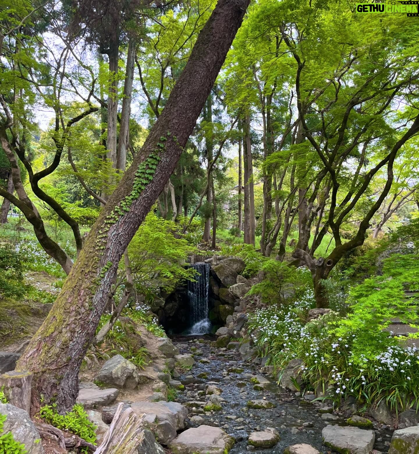 Gelsea Mae - 3 Likes - Japan Honeymoon Pt 1 ๐ธ๐ฃ๐๐ค๐๐ฏ๐ต
-
-
#honeymoon #honeymoondestination #honeymoontime #honeymoontrip #japan #tokyo #ueno #uenopark #uenoparktokyo #tokyotokyo #tokyojapan #tokyotower #tokyofood #tokyofoodie #japanfood #japanlife #japanculture #japanphotography #honeymooning #tokyotravel #uenoexperience #uenoyama #osaka #japanawaits #japanfoods #cherryblossomseason #japancherryblossom #japancherryblossoms #japancherryblossoms2024 #kyoto