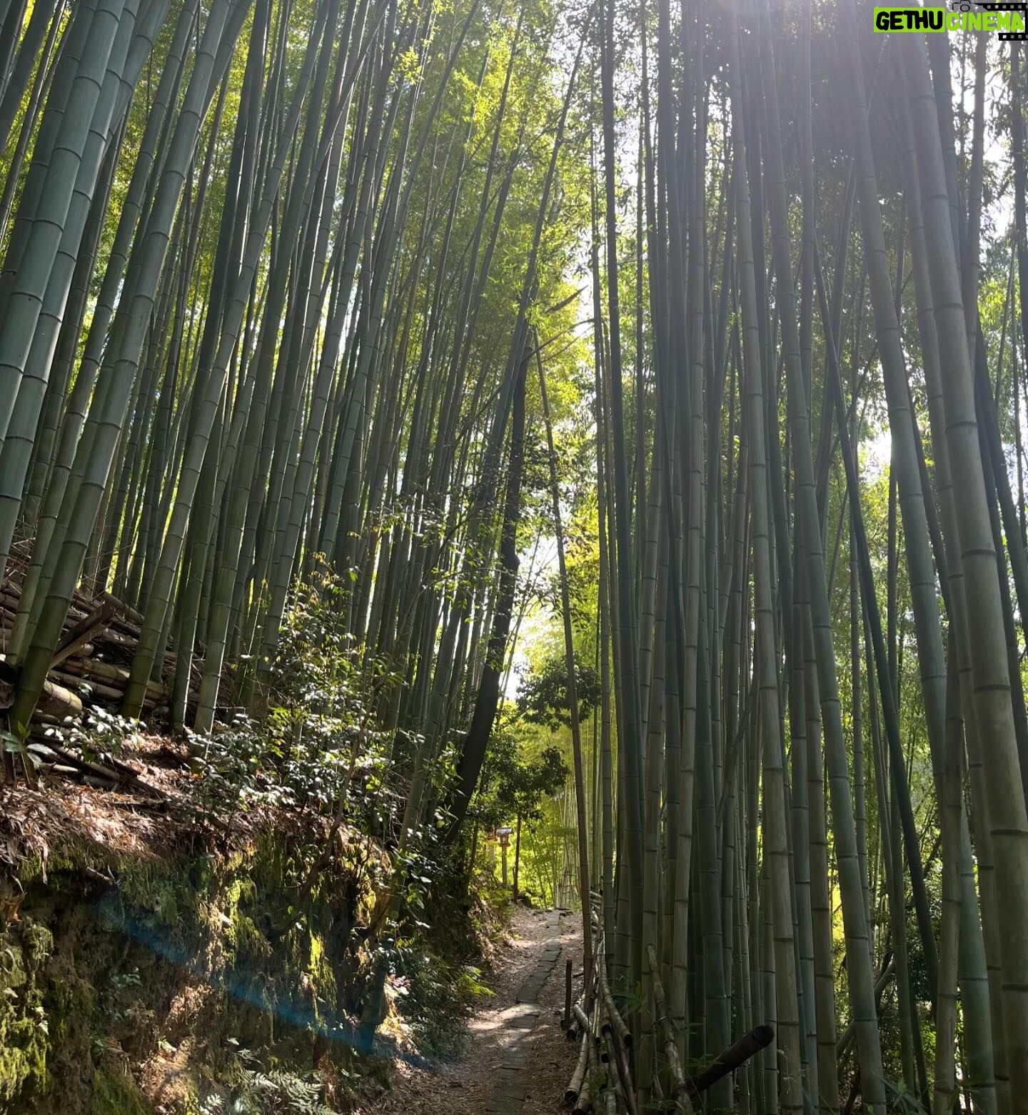Gelsea Mae - 3 Likes - Japan Honeymoon Pt 1 ๐ธ๐ฃ๐๐ค๐๐ฏ๐ต
-
-
#honeymoon #honeymoondestination #honeymoontime #honeymoontrip #japan #tokyo #ueno #uenopark #uenoparktokyo #tokyotokyo #tokyojapan #tokyotower #tokyofood #tokyofoodie #japanfood #japanlife #japanculture #japanphotography #honeymooning #tokyotravel #uenoexperience #uenoyama #osaka #japanawaits #japanfoods #cherryblossomseason #japancherryblossom #japancherryblossoms #japancherryblossoms2024 #kyoto