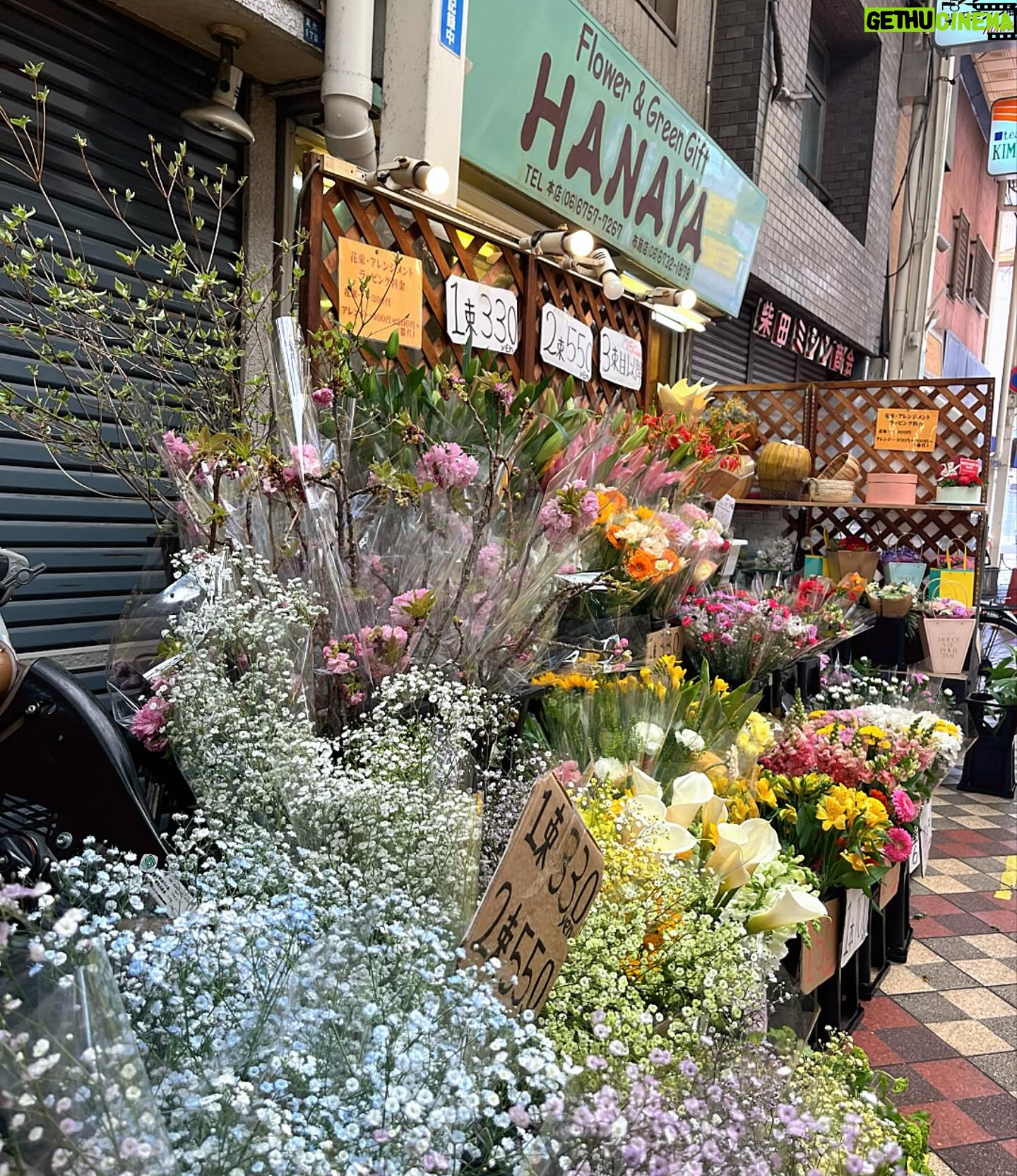 Gelsea Mae - 3 Likes - Step into a world of nostalgia and local charm at Fuse, Osaka, where @sekaihotel transforms the town into a unique hotel experience. Discover trendy guest rooms in old renovated houses amidst bustling shopping streets, with local flavors and everyday wonders. ๐กโจ #FuseExperience #SEKAIHOTEL #LocalFlavors
- Unique concept: Each suite is situated in a distinct area of the shopping strip full of vintage shops, local eateries, and cool bars.
- Guests receive a โSekai passโ for discounts and freebies at local shops and restaurants. Cute map included :)
#OsakaVibes #osaka #osakajapan #osakafuse #osakafood #osakafoodie #japan #japanfood #japanfoodie #japanfoods #japanfoodies #japanfoodporn #japanhotel #osakahotel #osakahotels #downtownosaka #japanlife #japanculture #japanphotography #japanawaits #sekaihotelfuse #vintageshopping #japanesefood #tacoyaki #sushi #sponsored #ad