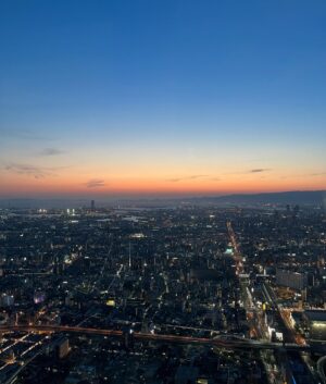 Gelsea Mae Instagram - Golden hour hits different in Osaka. 🌇❤️‍🔥✨
#60FloorsUp #Harukas300 

-
-
-
#Osaka #Japan #Sunset #sunsets #honeymoon #Osaka #honeymoondestination #honeymoontrip #japan #japanfood #japanlife  #japanphotography #honeymooning #tokyotravel #japanawaits #japanfoods #cherryblossomseason #japancherryblossom #japancherryblossoms #japansunset #osakasunset #goldenhour #skyline #lalaland