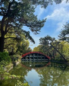 Gelsea Mae Instagram - Japan Honeymoon Pt 3 🌸🍣🍜🍤👘🇯🇵 - - #honeymoon #honeymoondestination #honeymoontime #honeymoontrip #japan #tokyo #ueno #uenopark #uenoparktokyo #tokyotokyo #tokyojapan #tokyotower #tokyofood #tokyofoodie #japanfood #japanlife #japanculture #japanphotography #honeymooning #tokyotravel #uenoexperience #uenoyama #osaka #japanawaits #japanfoods #cherryblossomseason #japancherryblossom #japancherryblossoms #japancherryblossoms2024 #kyoto