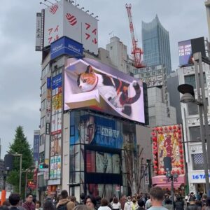 Gelsea Mae Instagram - Japan Honeymoon Pt 3 🌸🍣🍜🍤👘🇯🇵

-
-
#honeymoon #honeymoondestination #honeymoontime #honeymoontrip #japan #tokyo #ueno #uenopark #uenoparktokyo #tokyotokyo #tokyojapan #tokyotower #tokyofood #tokyofoodie #japanfood #japanlife #japanculture #japanphotography #honeymooning #tokyotravel #uenoexperience #uenoyama #osaka #japanawaits #japanfoods #cherryblossomseason #japancherryblossom #japancherryblossoms #japancherryblossoms2024 #kyoto