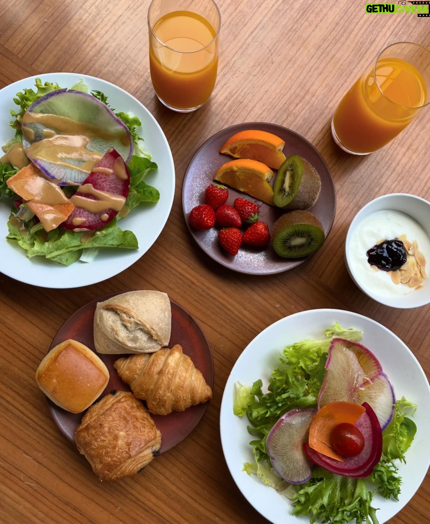 Gelsea Mae Instagram - Tokyo is enchanting at every turn, and @nohgahotel.ueno has added an extra layer of magic. This exceptional hotel exceeds expectations with its warm hospitality, delectable breakfast, and charming ambiance. Arigato! π―π΅β¨ #NohgaHotelUeno #NohgaHotel #Tokyo - - - - #sponsored #ad #honeymoondestination #honeymoontime #honeymoontrip #japan #ueno #uenopark #uenoparktokyo #tokyotokyo #tokyojapan #tokyotower #tokyofood #tokyofoodie #japanfood #japanlife #japanphotography #honeymooning #tokyotravel #uenoexperience #japanawaits #japanfoods #cherryblossomseason #japancherryblossom #japancherryblossoms #japancherryblossoms2024