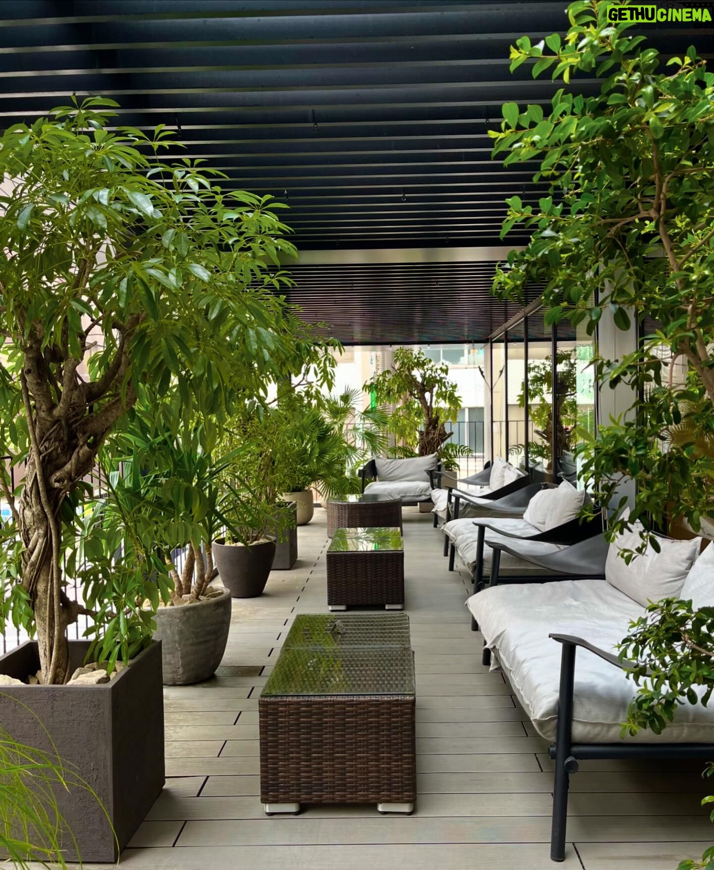 Gelsea Mae Instagram - Tokyo is enchanting at every turn, and @nohgahotel.ueno has added an extra layer of magic. This exceptional hotel exceeds expectations with its warm hospitality, delectable breakfast, and charming ambiance. Arigato! π―π΅β¨ #NohgaHotelUeno #NohgaHotel #Tokyo - - - - #sponsored #ad #honeymoondestination #honeymoontime #honeymoontrip #japan #ueno #uenopark #uenoparktokyo #tokyotokyo #tokyojapan #tokyotower #tokyofood #tokyofoodie #japanfood #japanlife #japanphotography #honeymooning #tokyotravel #uenoexperience #japanawaits #japanfoods #cherryblossomseason #japancherryblossom #japancherryblossoms #japancherryblossoms2024
