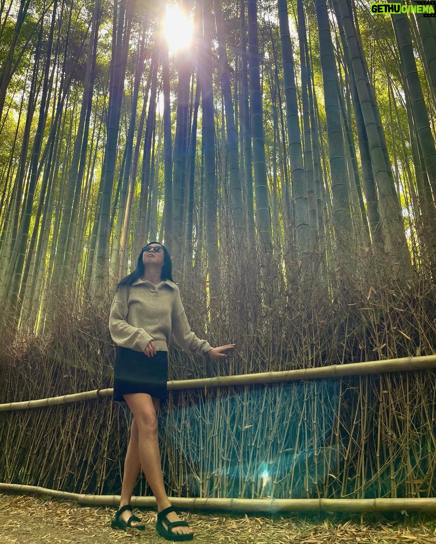 Gelsea Mae - 3 Likes - Lost in the enchanting whispers of Arashiyama bamboo forest ๐ฟโจ
-
-
#arashiyamabambooforest #bambooforestkyoto #bambooforest
#honeymoon #honeymoondestination #honeymoontime #japan #tokyo #ueno #uenopark #uenoparktokyo #tokyotokyo #tokyojapan #tokyotower #tokyofood #tokyofoodie #japanfood #japanlife #japanculture #japanphotography #kyotobambooforest #tokyotravel #osaka #japanawaits #japanfoods #cherryblossomseason #japancherryblossom #japancherryblossoms #kyoto