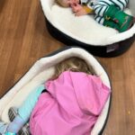 Gemma Whelan Instagram - Recently... Keeping the tea warm. Beds for bubs and pets alike... The magic under the costume Animals know best @cubrocksltd forever Ice cream and dolls My work is very very enjoyable One day we too will roller blade...