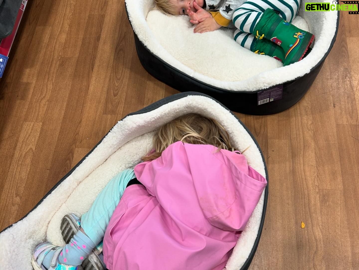 Gemma Whelan Instagram - Recently... Keeping the tea warm. Beds for bubs and pets alike... The magic under the costume Animals know best @cubrocksltd forever Ice cream and dolls My work is very very enjoyable One day we too will roller blade...