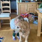Gemma Whelan Instagram - Recently... Keeping the tea warm. Beds for bubs and pets alike... The magic under the costume Animals know best @cubrocksltd forever Ice cream and dolls My work is very very enjoyable One day we too will roller blade...