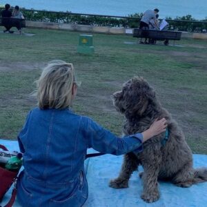 Georgie Gardner Instagram - Happy 6th Birthday to our beloved Wilbur who never fails to make us feel happy (except when he devours the cheese platter) #portuguesewaterdog